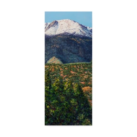 James W. Johnson 'Pikes Peak In Summer' Canvas Art,8x19